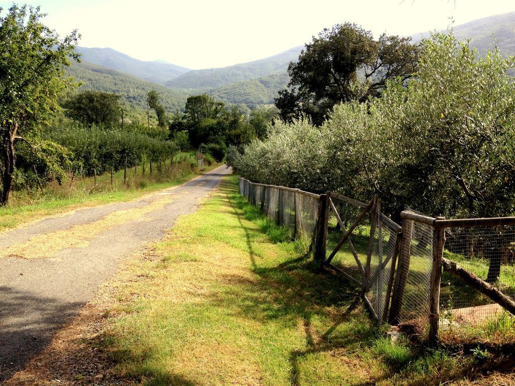 Agriturismo Le Cerinaie Castelnuovo di Val di Cecina Exterior foto