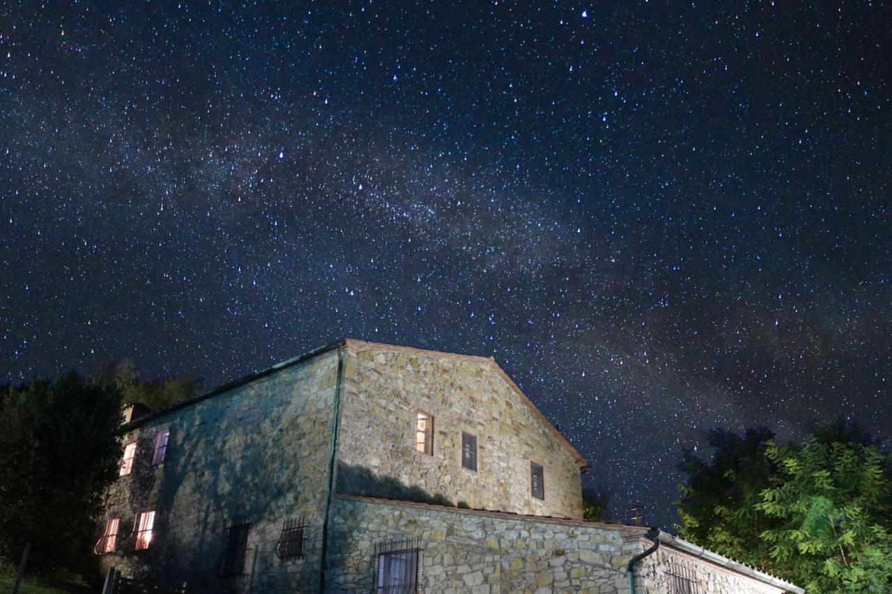 Agriturismo Le Cerinaie Castelnuovo di Val di Cecina Exterior foto